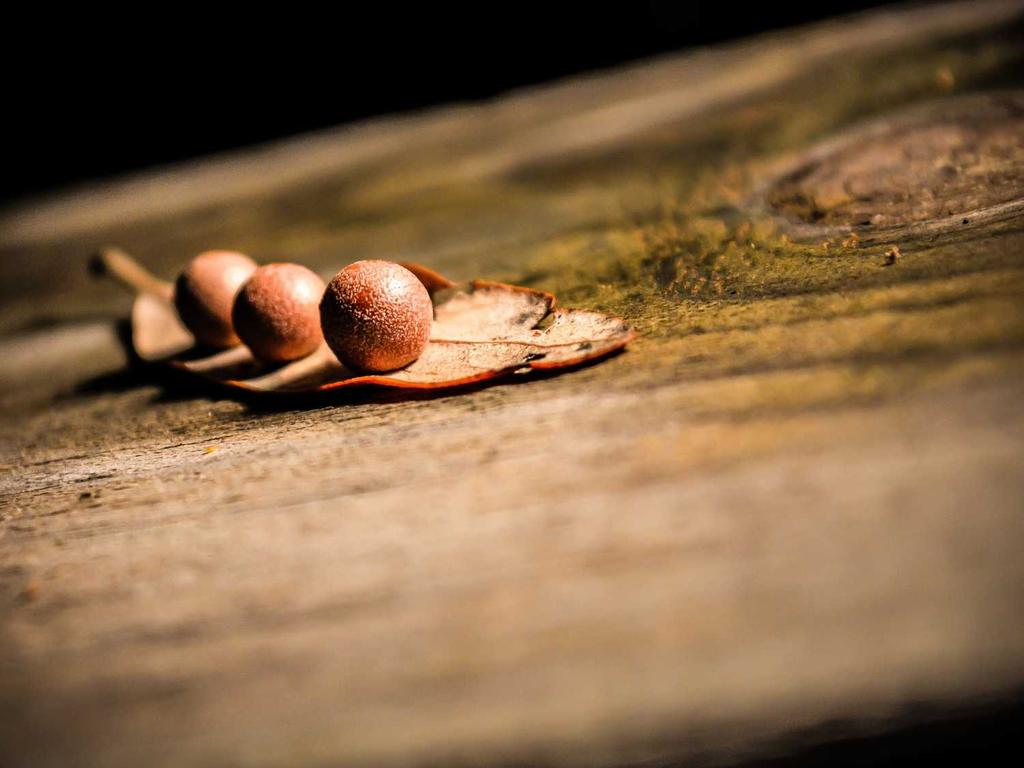 Alışveriş Yapıyoruz2